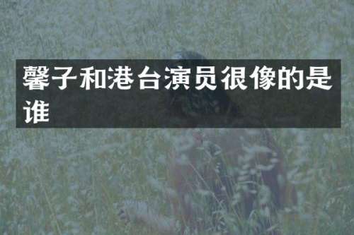 馨子和港台演员很像的是谁
