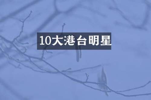 10大港台明星