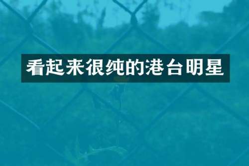 看起来很纯的港台明星
