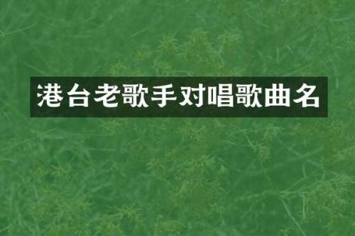港台老歌手对唱歌曲名