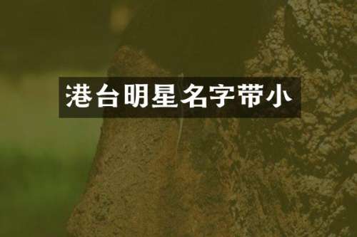港台明星名字带小