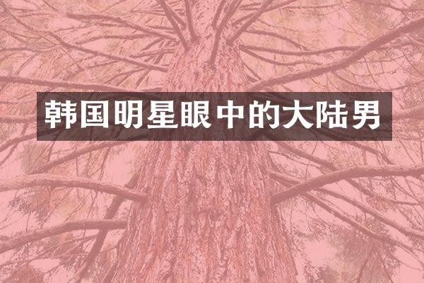 韩国明星眼中的大陆男
