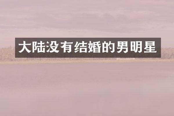 大陆没有结婚的男明星