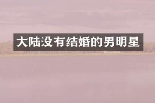 大陆没有结婚的男明星