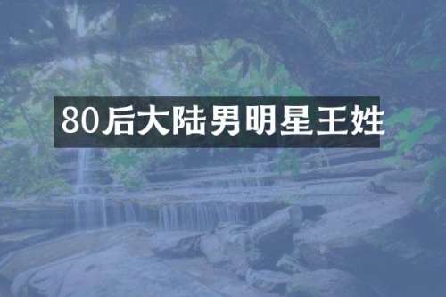 80后大陆男明星王姓