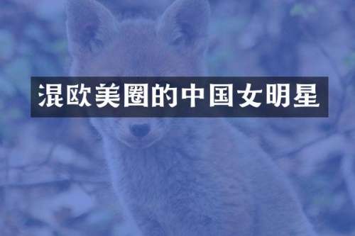 混欧美圈的中国女明星