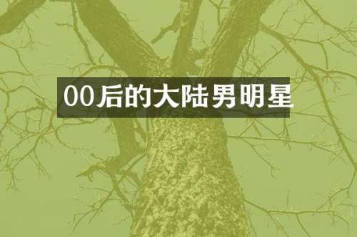 00后的大陆男明星