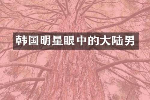 韩国明星眼中的大陆男