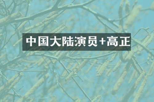 中国大陆演员+高正