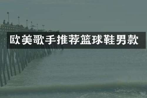 欧美歌手推荐篮球鞋男款