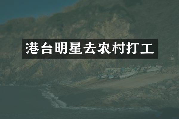 港台明星去农村打工