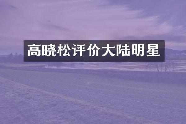 高晓松评价大陆明星