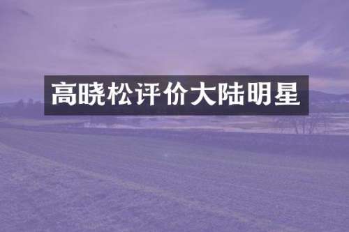高晓松评价大陆明星