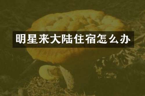 明星来大陆住宿怎么办