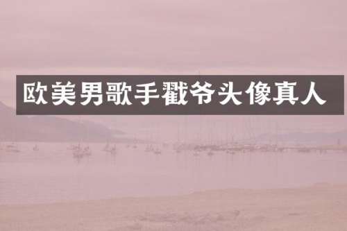 欧美男歌手戳爷头像真人
