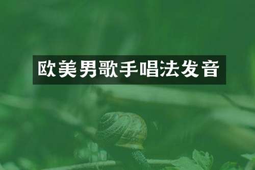 欧美男歌手唱法发音