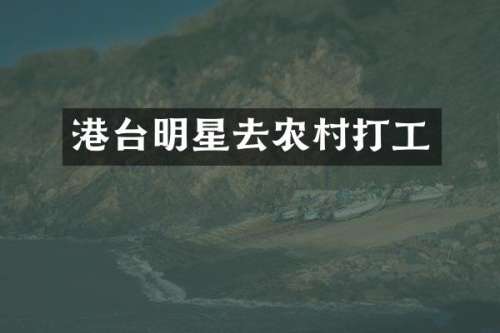 港台明星去农村打工