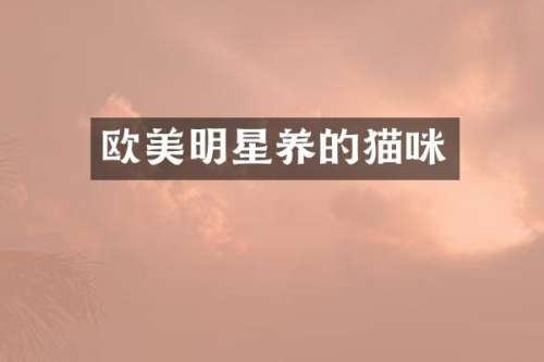 欧美明星养的猫咪