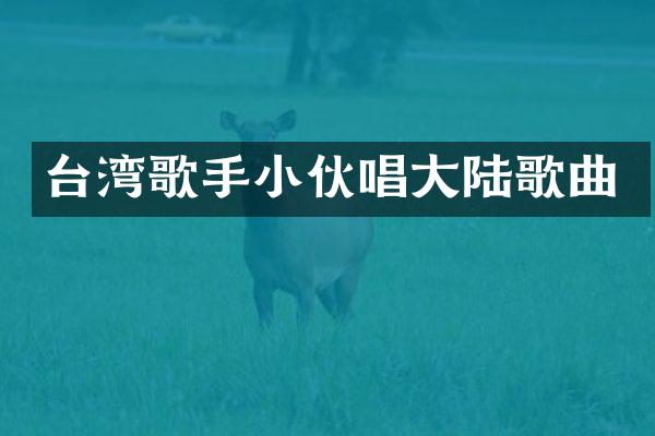 台湾歌手小伙唱大陆歌曲