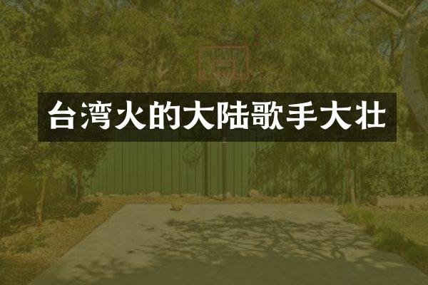 台湾火的大陆歌手大壮