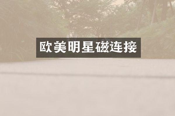 欧美明星磁连接