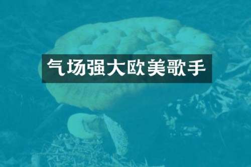 气场强大欧美歌手