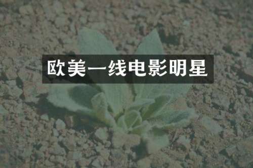 欧美一线电影明星