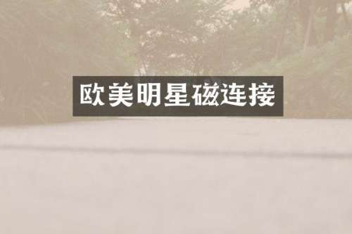 欧美明星磁连接