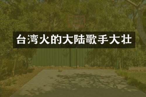 台湾火的大陆歌手大壮