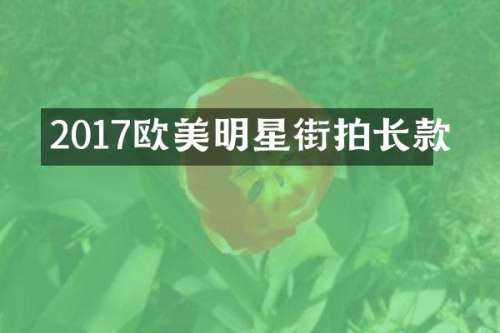 2017欧美明星街拍长款