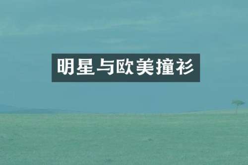 明星与欧美撞衫