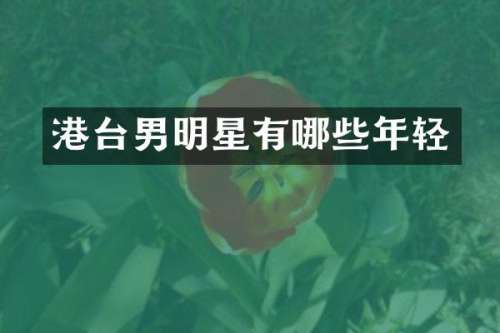 港台男明星有哪些年轻