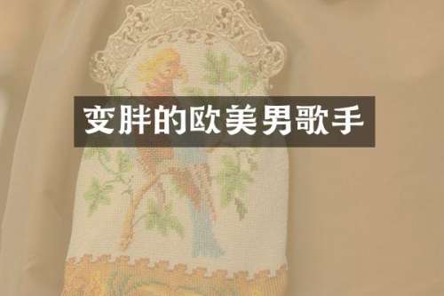 变胖的欧美男歌手