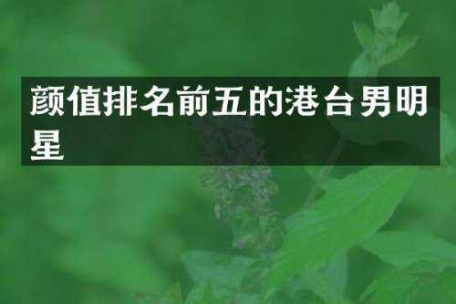 颜值排名前五的港台男明星