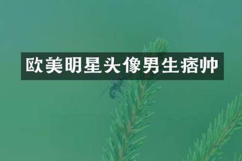 欧美明星头像男生痞帅