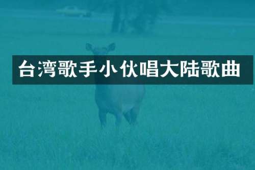 台湾歌手小伙唱大陆歌曲