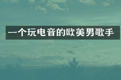一个玩电音的欧美男歌手