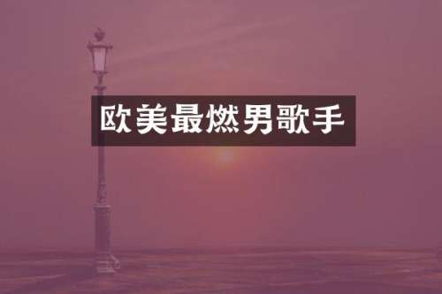 欧美最燃男歌手