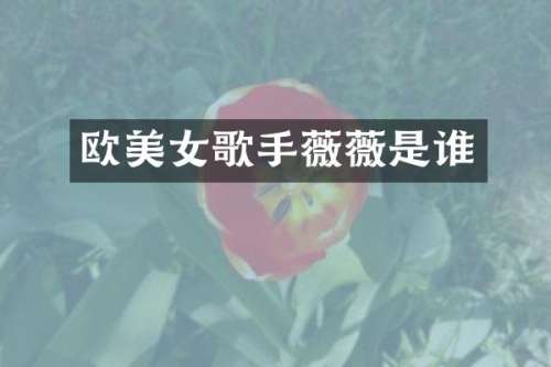欧歌手薇薇是谁