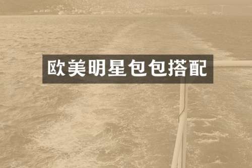 欧美明星包包搭配