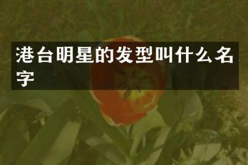 港台明星的发型叫什么名字