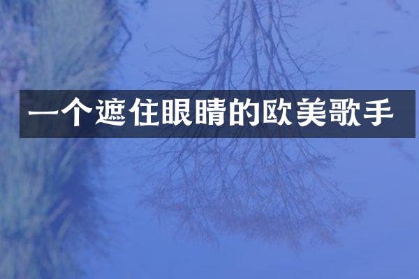 一个遮住眼睛的欧美歌手