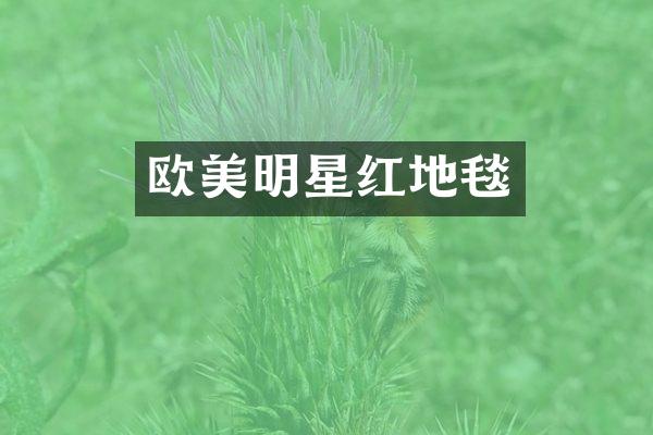 欧美明星红地毯