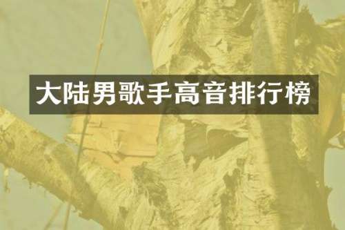 大陆男歌手高音排行榜