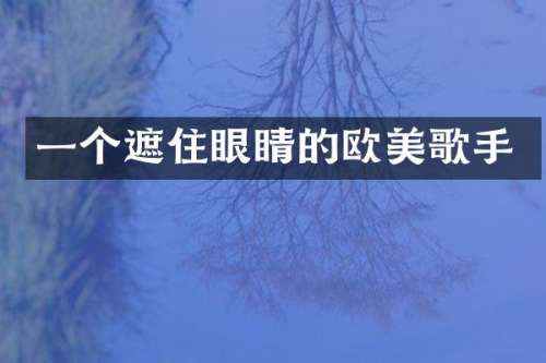 一个遮住眼睛的欧美歌手
