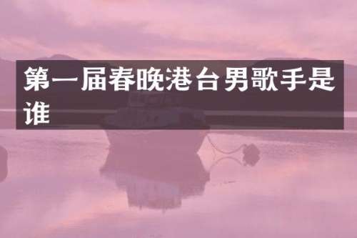 第一届港台男歌手是谁