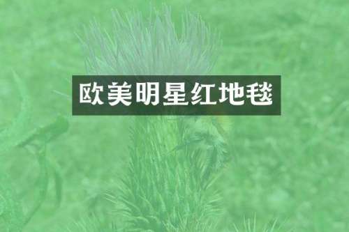 欧美明星红地毯