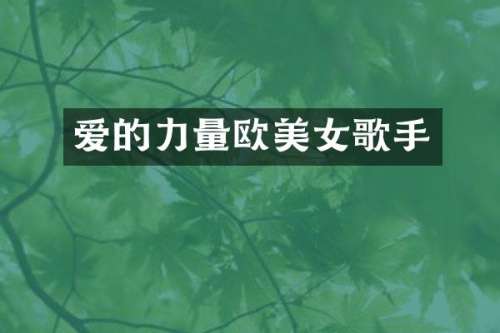 爱的力量欧歌手