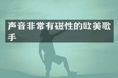 声音非常有磁性的欧美歌手