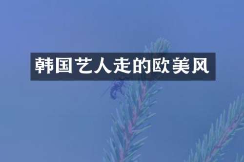 韩国艺人走的欧美风